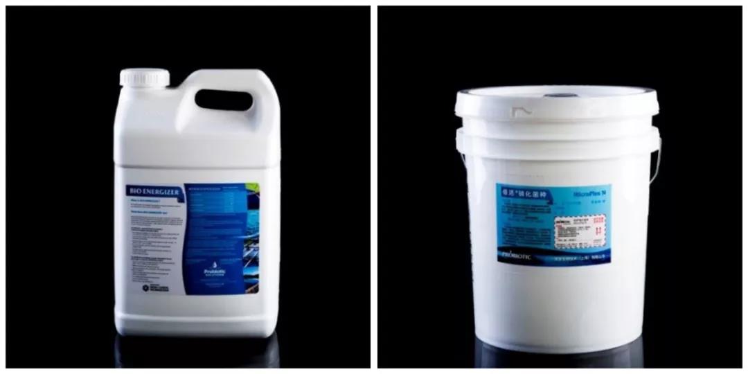 硝化菌種.jpg 硝化菌種.jpg